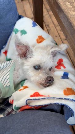 cosmic gardenでしゅよぉ〜(^｡^)の記事動画