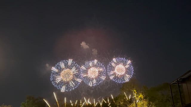 大阪・関西万博⑧の記事動画