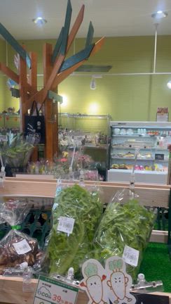 畑のつづき天美店への記事動画