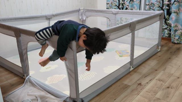 笑い溢れる愛おしい日々〜子育ての風景〜の記事動画