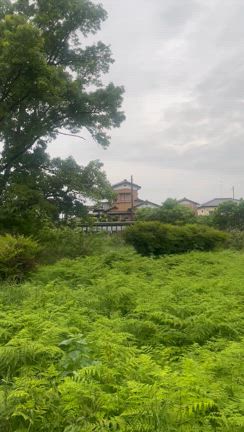 ベイFMに出演の記事動画