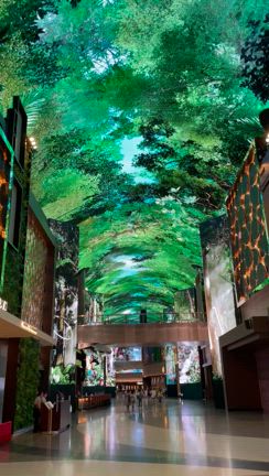 インスパイアカジノ訪問の記事動画