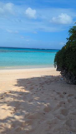 波照間の旅④（波照間のニシ浜が最高すぎた！）の記事動画