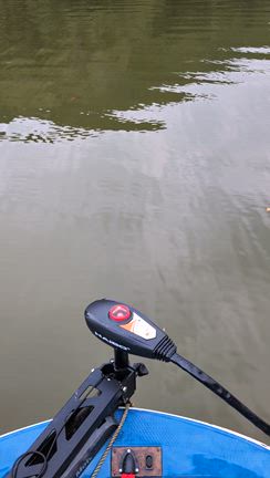 ハイボ　レンタル開始の記事動画