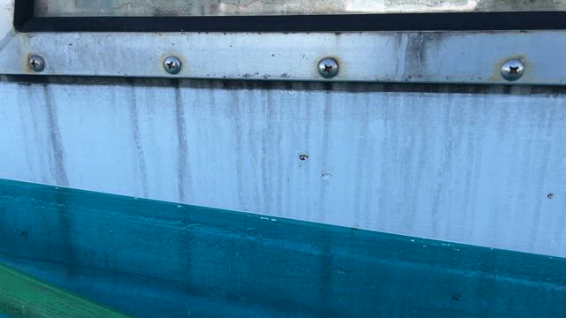 変身完了しました♪の記事動画