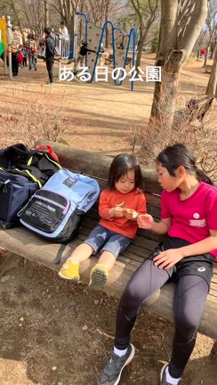 2024/02/19の記事動画