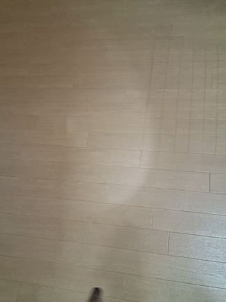 守る♥️٩(๑òωó๑)۶の記事動画