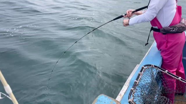 東京湾タコエギ！波崎青物ジギング！の記事動画