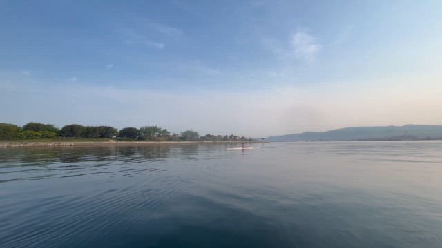 隣の海草は青いの記事動画