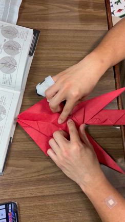 明日から師走ですの記事動画