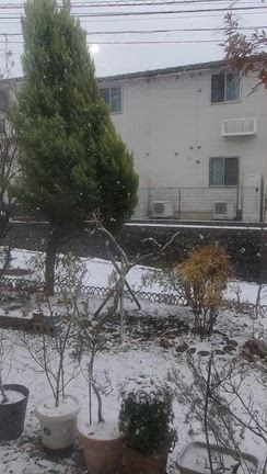 底冷えする朝…雪です。の記事動画