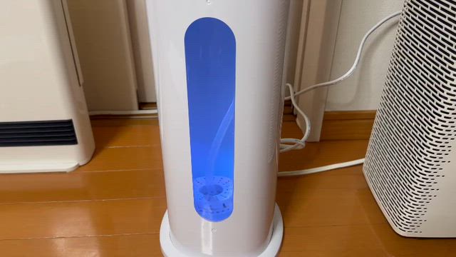 【おうち公開！】の記事動画