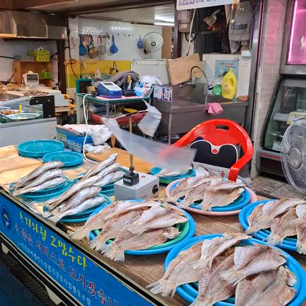 [済州島]ダイヤモンドプリンセスの旅2025夏の記事動画