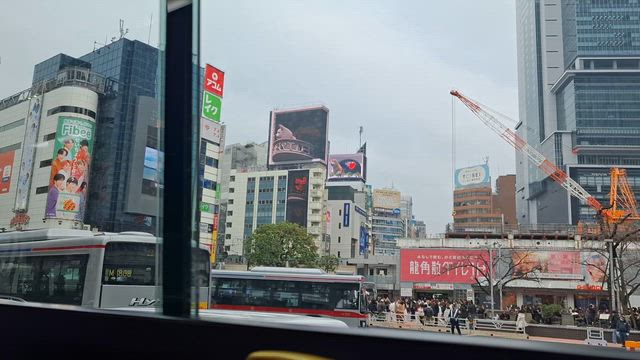 2025最後にみた #ハチ公の記事動画