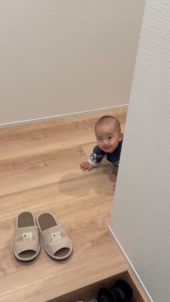 一括で買った戦車で帰宅の記事動画