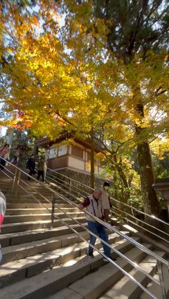【保存版】心が納得しないと行動は変わらない｜頑張っているのに前に進めない理由の記事動画