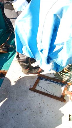 初釣りの記事動画