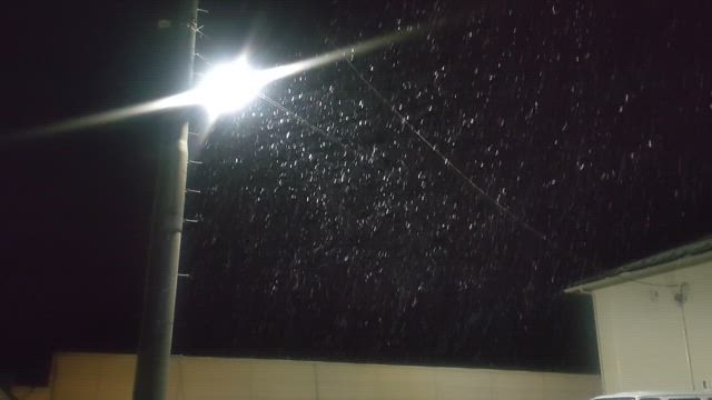 予算特別委員会　4日目の記事動画