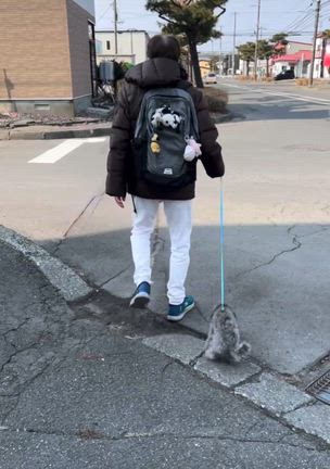 がんばってどぅん₍ᐢ•ᴗ•⑅ᐢ₎ദ⸒⸒の記事動画