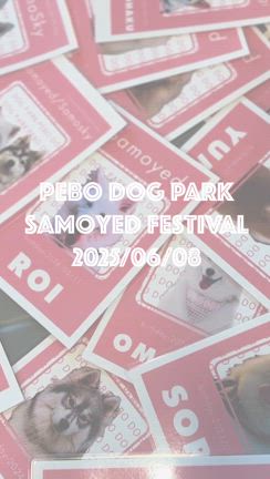 【ドッグラン事業部】PEBO DOG PARK ＼【サモエドフェス】無事に終了 ／の記事動画