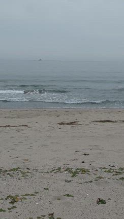 お休み宣言の記事動画