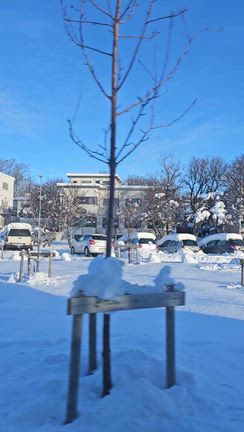 アイスランドでオーロラ見たよ(^^)の記事動画