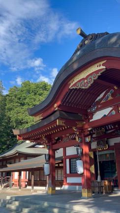 今日は何日⁈  一体何してたんだろう〜〜の記事動画