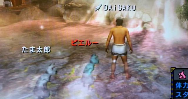 MHP3≫心づもり。の記事動画