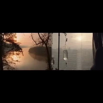 自分で選択できるんですの記事動画