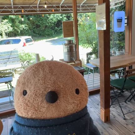 ピクニックカフェ　Pikinikiの記事動画