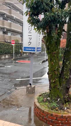 雪！の記事動画