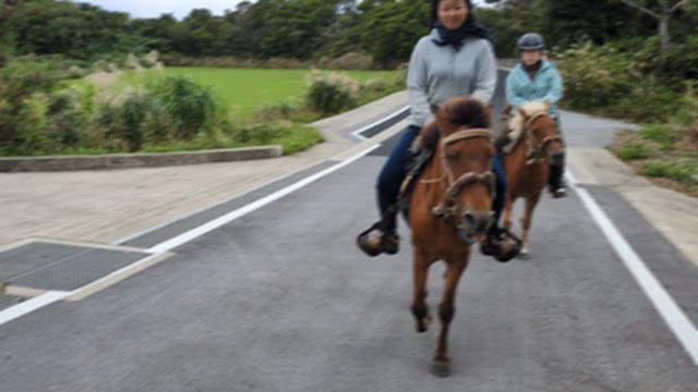登城の記事動画