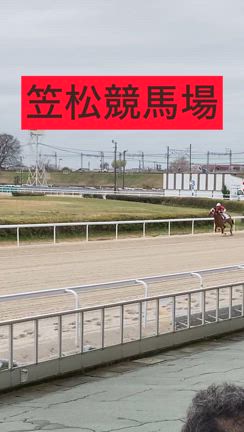 ウマ娘シンデレラグレイ　笠松競馬場　オグリキャップの記事動画