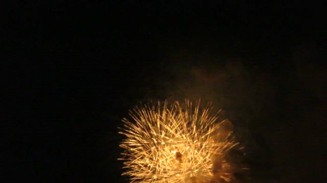2025千秋公園、雄物川花火(PENTAX K50、Canon SX700HS)の記事動画
