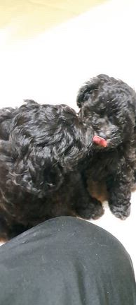 スクスク成長中の記事動画