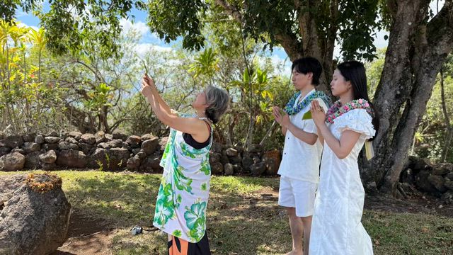 ハワイに行って来ましたの記事動画