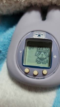 名護とSkzooたまごっち  とStraykids 「Hollow」のお話の記事動画