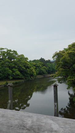 夫婦♡お伊勢さん旅行　9,000歩の記事動画