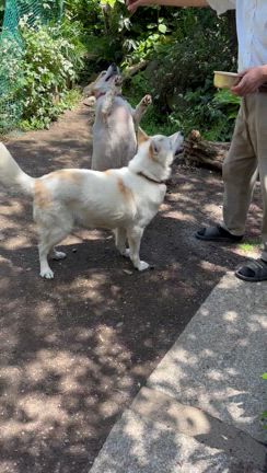 立ち練の成果は大！の記事動画