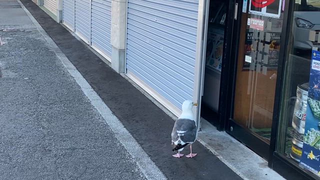 強く意図すれば、シンクロニシティは常に起きるの記事動画