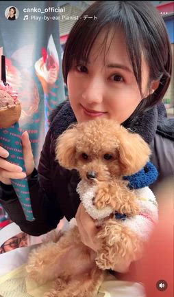 ドッグカフェの記事動画