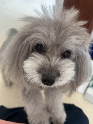 爽快な月曜日の朝とヒノコの変態趣味。の記事動画