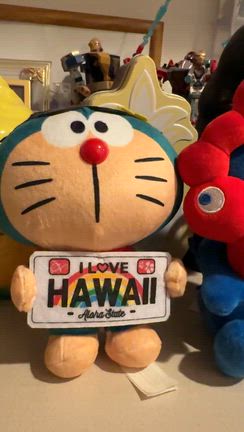 念願の信楽焼が来たの記事動画