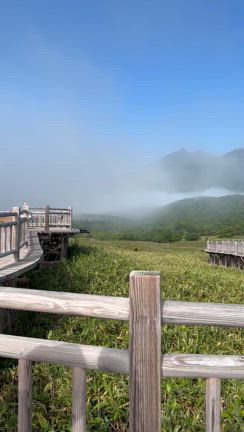 10日間3,000km北海道キャンピングカーの旅2023年の記事動画