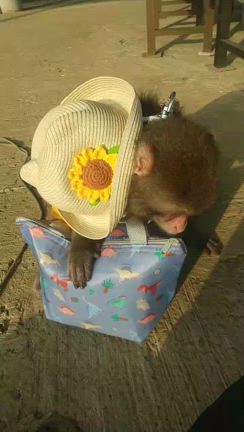 誕生日！の記事動画