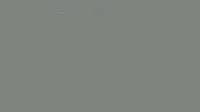 七力誕生20年のお祝いに行ってきましたの記事動画