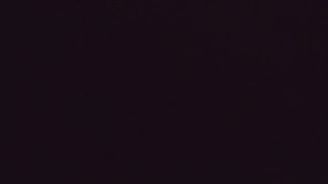 最近の備忘録の記事動画