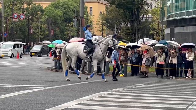 2025/10/31の記事動画