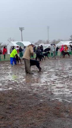 特色の記事動画