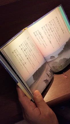 7日はぬいぐるみ読書会の記事動画